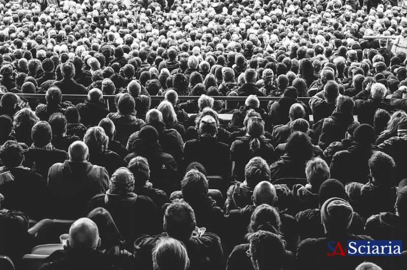 Are You Just a Colony? The Intriguing Biology of Collective Identity