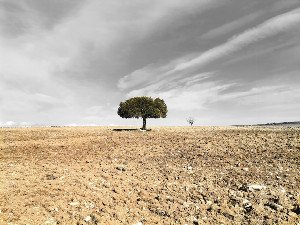 Beyond DRY: Embracing Strategic Duplication for Better Code