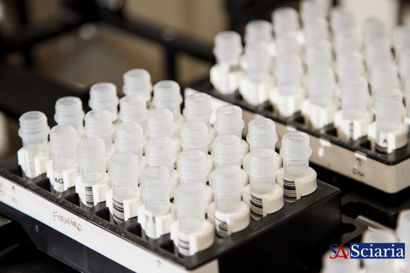 Beyond the Blueprint: Why Your Genes Don't Tell the Whole Story of Your Health