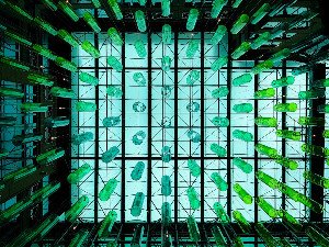 Big Data's Unintended Consequence: Navigating the Echo Chamber