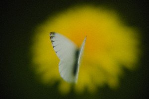 Digital Air: The Invisible Force Reshaping Our Lives