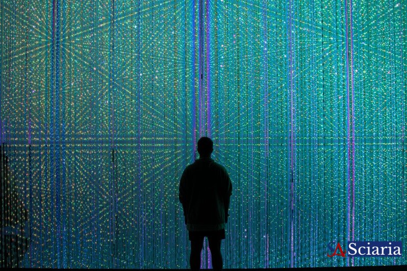 Digitalization: Mastering the Art of Unlearning for a Future-Ready World