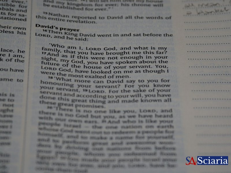 Embracing the Divine Glitch: How Imperfection Reveals God's Grace