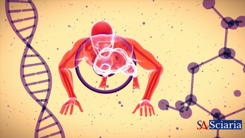 Life's Grand Algorithm: Is Biology a Program We Can Decode?