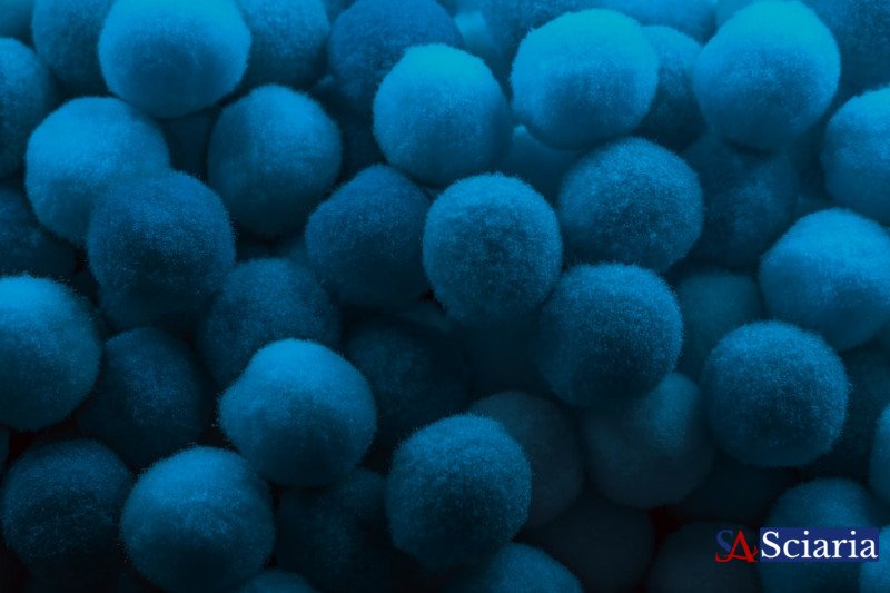 Quorum Sensing: Unlocking the Secret Language of Microbial Societies