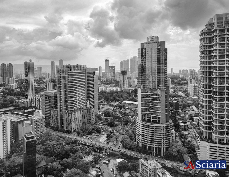 Rewilding Our Cities: Nature's Resurgence in the Urban Landscape