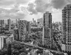 Rewilding Our Cities: Nature's Resurgence in the Urban Landscape