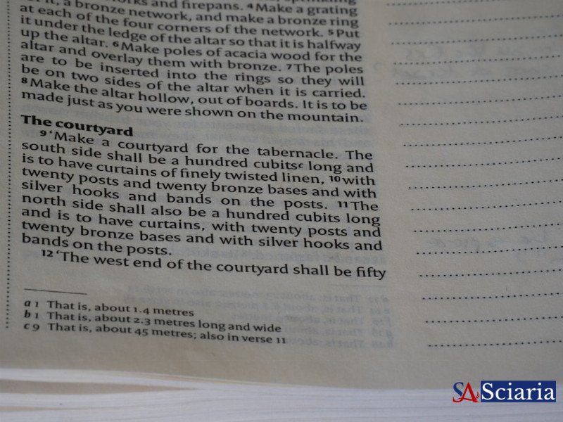 The Alchemist's Dream Realized: Unlocking the Power of Transforming Materials