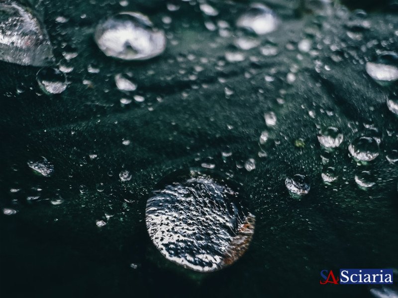 The Earth's Perfume: Decoding the Mystical Scent of Rain (Petrichor and Beyond)