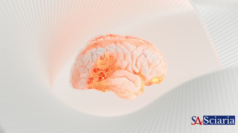 The Hidden Hunger: Decoding Your Cells' Real Nutritional Cravings