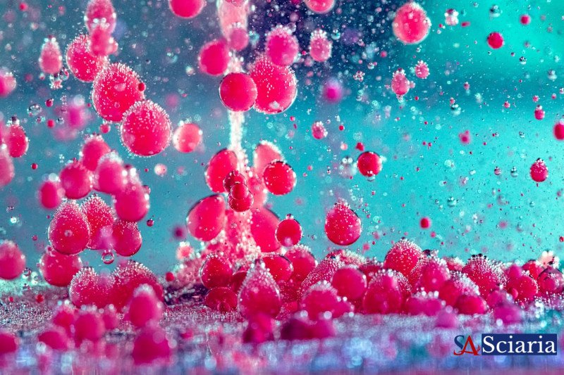 The Invisible Architects: Are Your Microbes Secretly Shaping Who You Are?