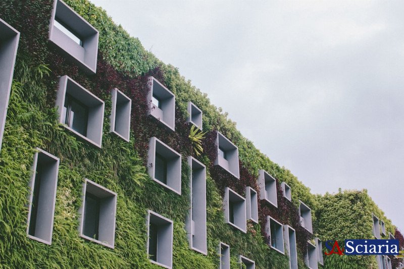 The Living Architecture Revolution: How Biotech is Growing the Buildings of Tomorrow