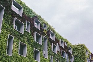 The Living Architecture Revolution: How Biotech is Growing the Buildings of Tomorrow