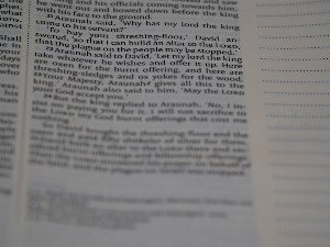 The Silent Architect: How Culture Shapes Every Choice You Make