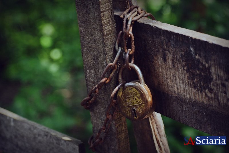 Unlocking Trust: Cryptography, The Silent Language Protecting Our Digital World