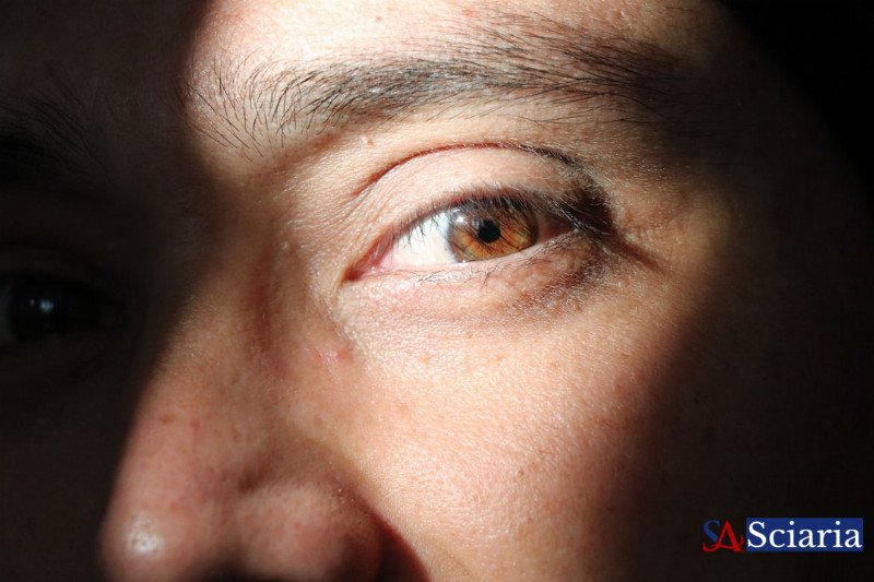 Unmasking the Bias Blind Spot: Hidden Influences in Scientific Research