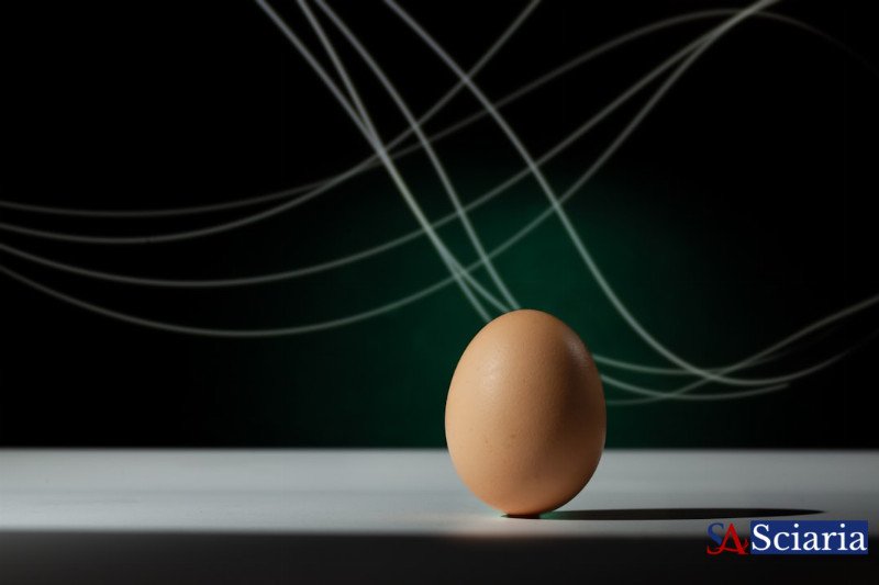 Unmasking The Evaluation Illusion: Are Your Metrics Telling the Whole Story?