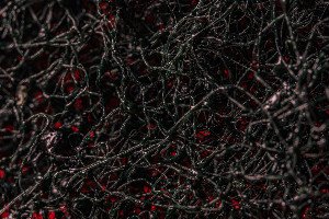 Unveiling Earth's Hidden Majority: The Quest for Microbial Dark Matter