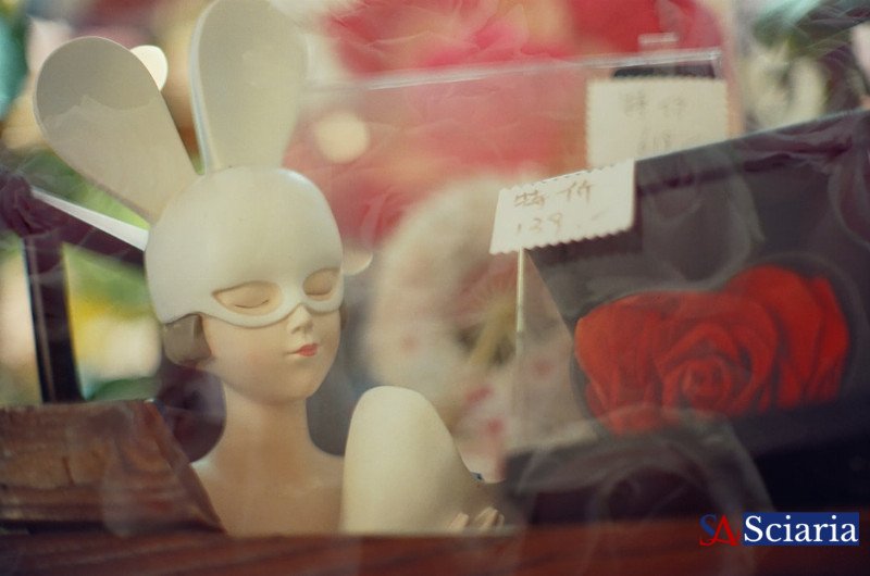 Your Brain's Private Screening Room: How Perception Shapes Reality