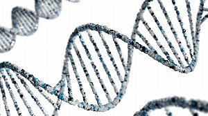 Your Dynamic DNA: The Adapting Genome Within