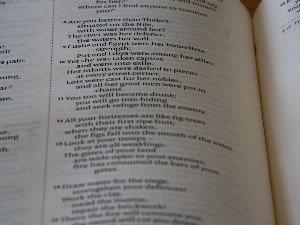 Your Grammar Isn't 'Wrong': The Linguistic Truth Behind Language